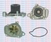  858065 Water Pump